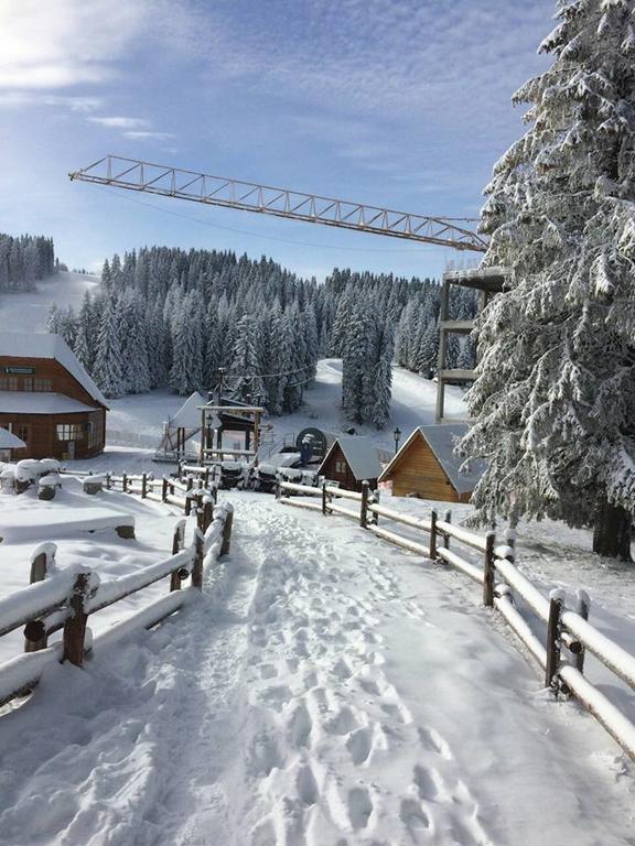 Apartments Vanja I Vrh Kopaonik Extérieur photo